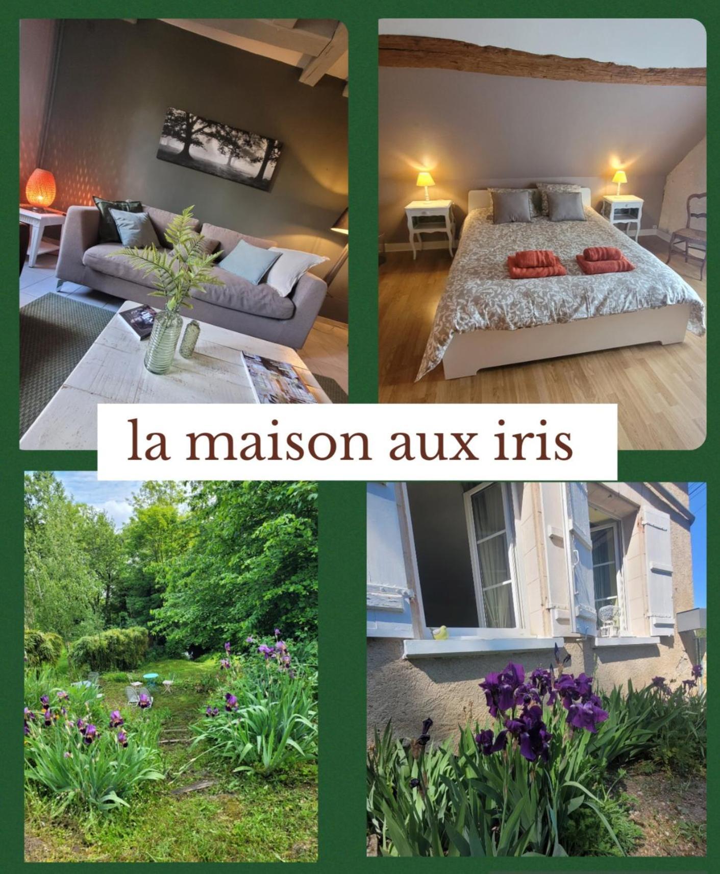 La Maison Aux Iris Poce-sur-Cisse Ngoại thất bức ảnh