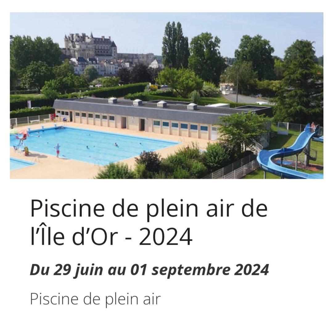 La Maison Aux Iris Poce-sur-Cisse Ngoại thất bức ảnh