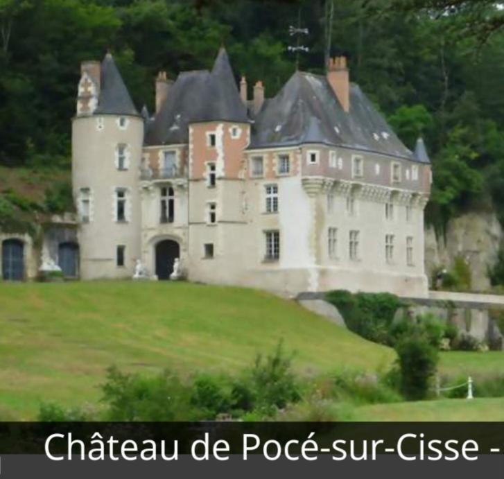 La Maison Aux Iris Poce-sur-Cisse Ngoại thất bức ảnh