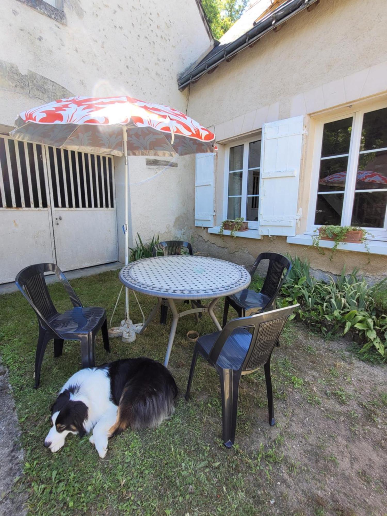 La Maison Aux Iris Poce-sur-Cisse Ngoại thất bức ảnh