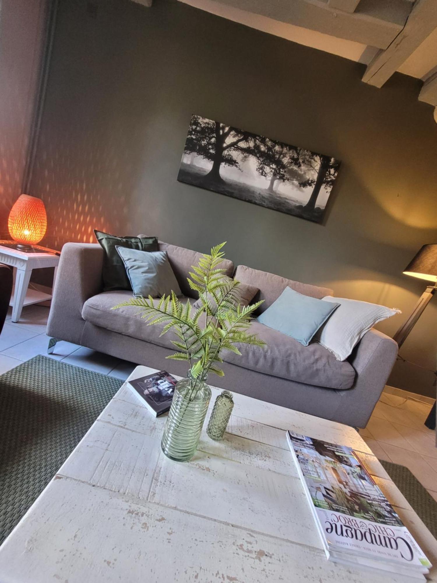 La Maison Aux Iris Poce-sur-Cisse Ngoại thất bức ảnh