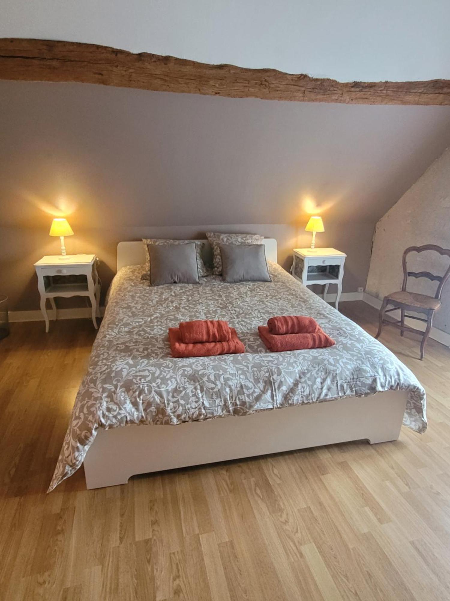 La Maison Aux Iris Poce-sur-Cisse Ngoại thất bức ảnh